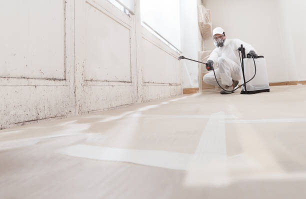 24/7 Emergency Commercial Mold Remediation experts in Medford, NJ
