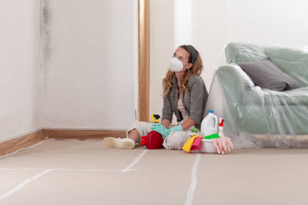 Reliable Commercial Mold Remediation contractor in Medford, NJ by 24 Hour Mold Removal